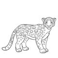 Coloring pages. Cute spotted jaguar smiles.