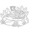 Coloring pages. Cute spotted jaguar on the stone.