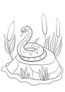 Coloring pages. Cute viper lies on the stone Royalty Free Stock Photo
