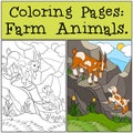 Coloring Pages: Farm Animals. Father goat with his little baby Royalty Free Stock Photo