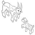Coloring pages. Farm animals. Father goat looks at his goatling. Royalty Free Stock Photo