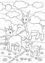 Coloring pages. Farm animals. Goat family.