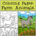 Coloring Pages: Farm Animals. Little cute donkey.