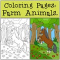 Coloring Pages: Farm Animals. Little cute foal. Royalty Free Stock Photo