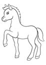 Coloring pages. Farm animals. Little cute foal.