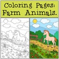 Coloring Pages: Farm Animals. Little cute foal. Royalty Free Stock Photo