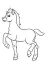 Coloring pages. Farm animals. Little cute foal.