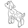 Coloring pages. Farm animals. Little cute goatling. Royalty Free Stock Photo