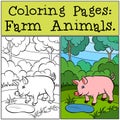 Coloring Pages: Farm Animals. Little cute pig.