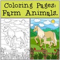 Coloring Pages: Farm Animals. Mother horse with her foal. Royalty Free Stock Photo