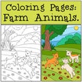 Coloring Pages: Farm Animals. Three little cute baby goats. Royalty Free Stock Photo