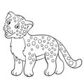 Coloring pages. Little cute baby jaguar smiles.