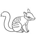 Coloring pages. Little cute baby numbat smiles