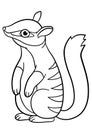 Coloring pages. Little cute baby numbat stands