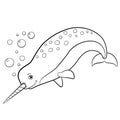 Coloring pages. Little cute narwhal swims.