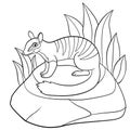 Coloring pages. Little cute numbat sits on the stone