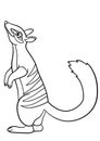 Coloring pages. Little cute numbat stands