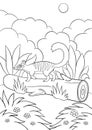 Coloring pages. Little cute numbat walks on the log