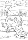 Coloring pages. Little cute otter sits on the tree branch