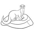 Coloring pages. Little cute otter stands on the stone