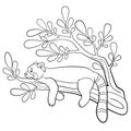 Coloring pages. Little cute red panda smiles Royalty Free Stock Photo