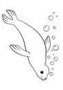 Coloring pages. Little cute seal swims.