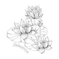 Coloring pages with Lotus flowers, zentangle illustrations for kids and adults coloring book or tattoos with high detail