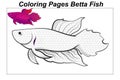 Coloring pages. Marine wild animals. ittle cute baby dolphin underwater. illustration in a cartoon style for a coloring book