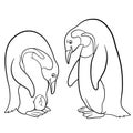 Coloring pages. Mother and father penguin looks at the egg Royalty Free Stock Photo