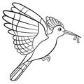 Coloring pages. Mother hoopoe holds a worm in her beak