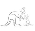 Coloring pages. Mother kangaroo with her little baby.