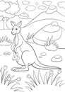 Coloring pages. Mother kangaroo with her little baby.