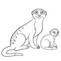 Coloring pages. Mother meerkat with her little cute babies