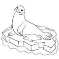 Coloring pages. Mother seal with her little cute baby.