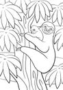 Coloring pages. Mother sloth with her little cute baby