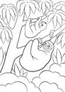 Coloring pages. Mother sloth with her little cute baby hangs on the tree