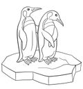 Coloring pages. Two little cute penguins smile