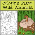 Coloring Pages: Wild Animals. Baby viper in the egg