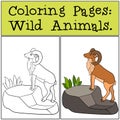 Coloring Pages: Wild Animals. Cute beautiful urial