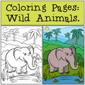 Coloring Pages: Wild Animals. Cute elephant.