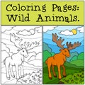 Coloring Pages: Wild Animals. Cute elk.