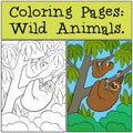 Coloring Pages: Wild Animals. Cute lazy sloth