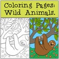 Coloring Pages: Wild Animals. Cute lazy sloth