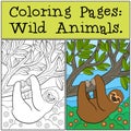 Coloring Pages: Wild Animals. Cute lazy sloth