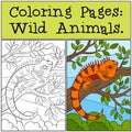 Coloring Pages: Wild Animals. Cute orange iguana. Royalty Free Stock Photo