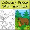 Coloring Pages: Wild Animals. Daddy bear