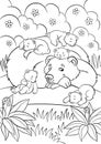 Coloring pages. Wild animals. Kind bear looks at little cute baby bears. Royalty Free Stock Photo