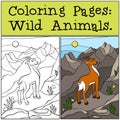 Coloring Pages: Wild Animals. Little cute antelope . Royalty Free Stock Photo