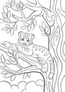 Coloring pages. Wild animals. Little cute baby tiger.