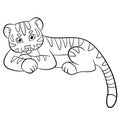 Coloring pages. Wild animals. Little cute baby tiger smiles.